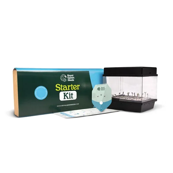 Starter Kit CBD  With Medical Mass Seeds
