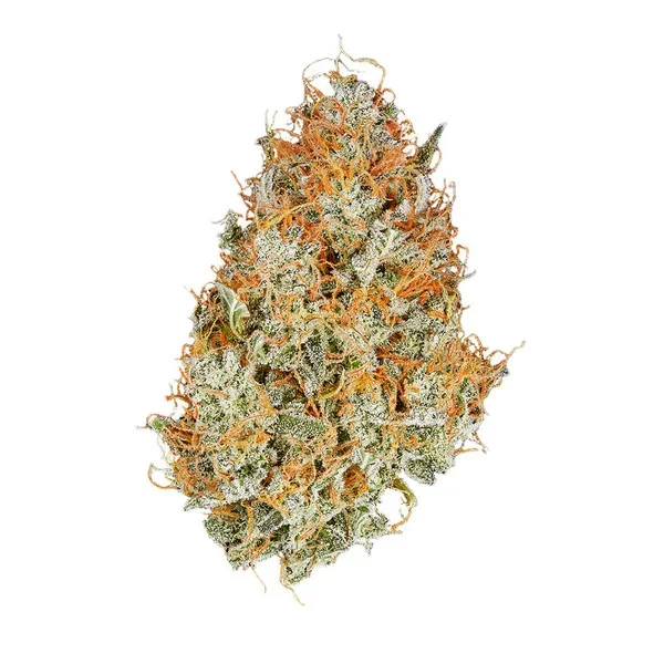 amnesia-haze-automatic (2).webp