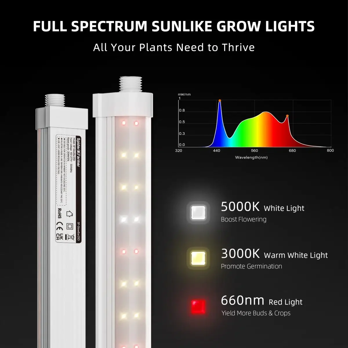 Glowbar25D-5-1200x1200.jpg.webp dpik3.webp