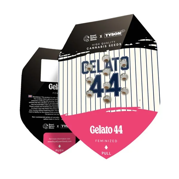 Gelato 44 Sunset Sherbet x Thin Mint Girl Scout Cookies