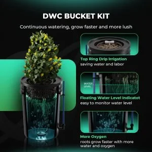 DWC-BUCKET-KIT-Continuous-watering-grow-faster-and-more-lush-300x300.jpg