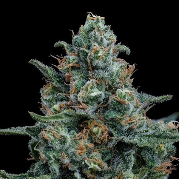 wedding-cake rqs4.jpg