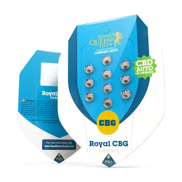 Royal CBG Automatic  Goliat Auto x High CBG