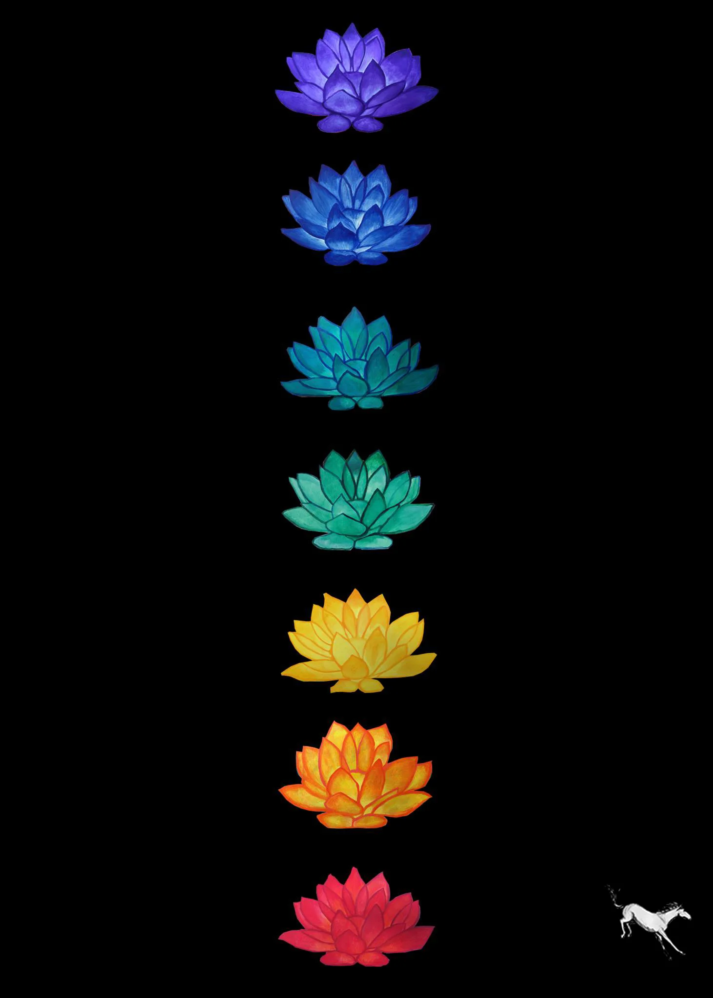 Reflections on My Chakra Healing Journey