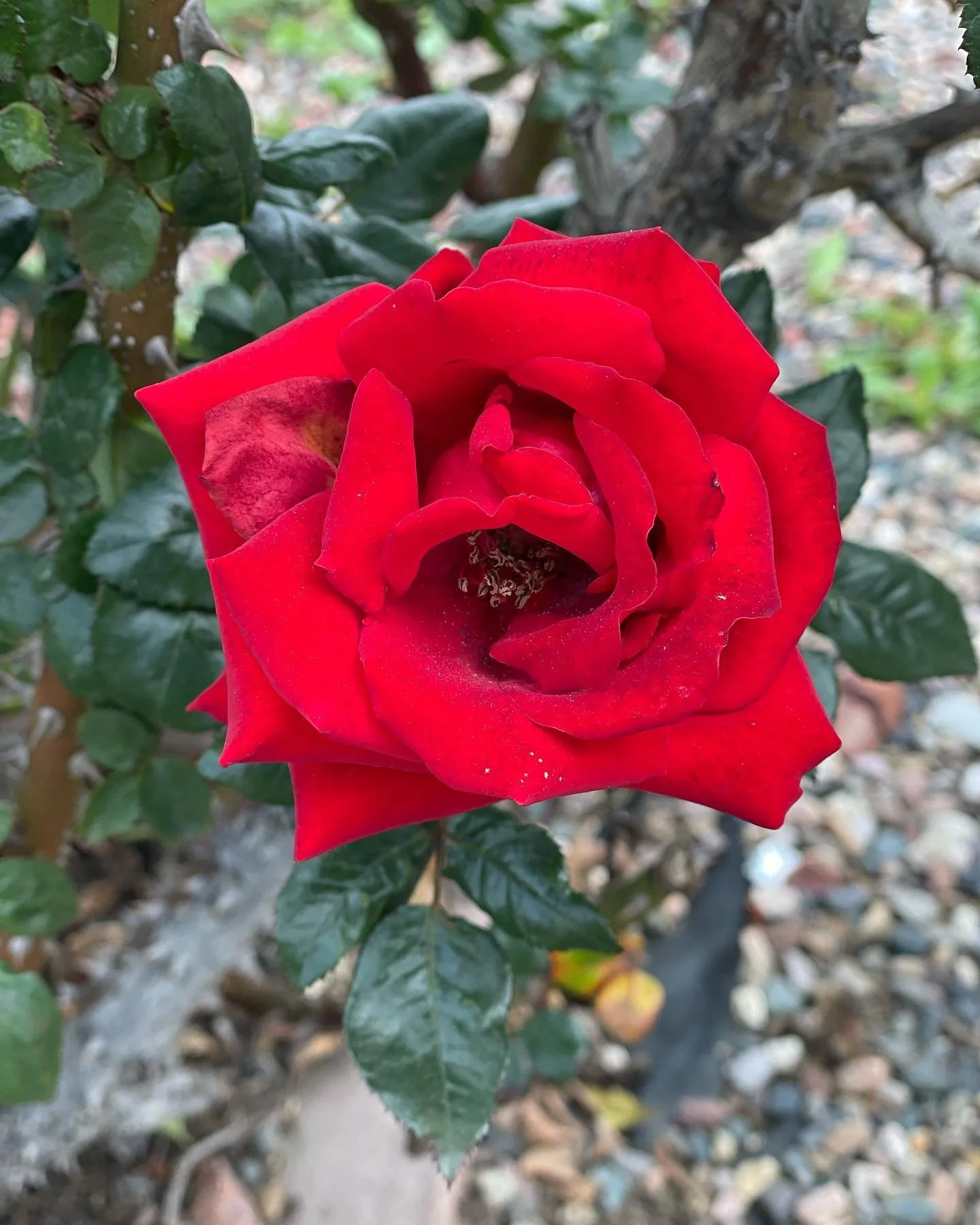 Learning how to believe gets help from natural beauty.