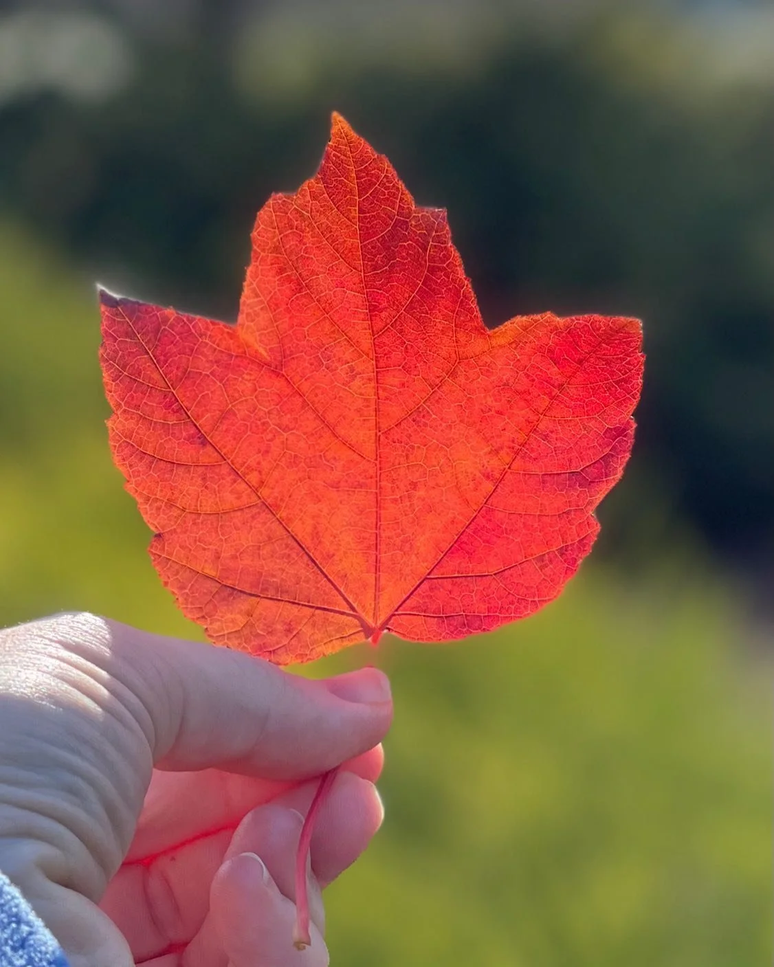 I love autumn 🍂 🍁