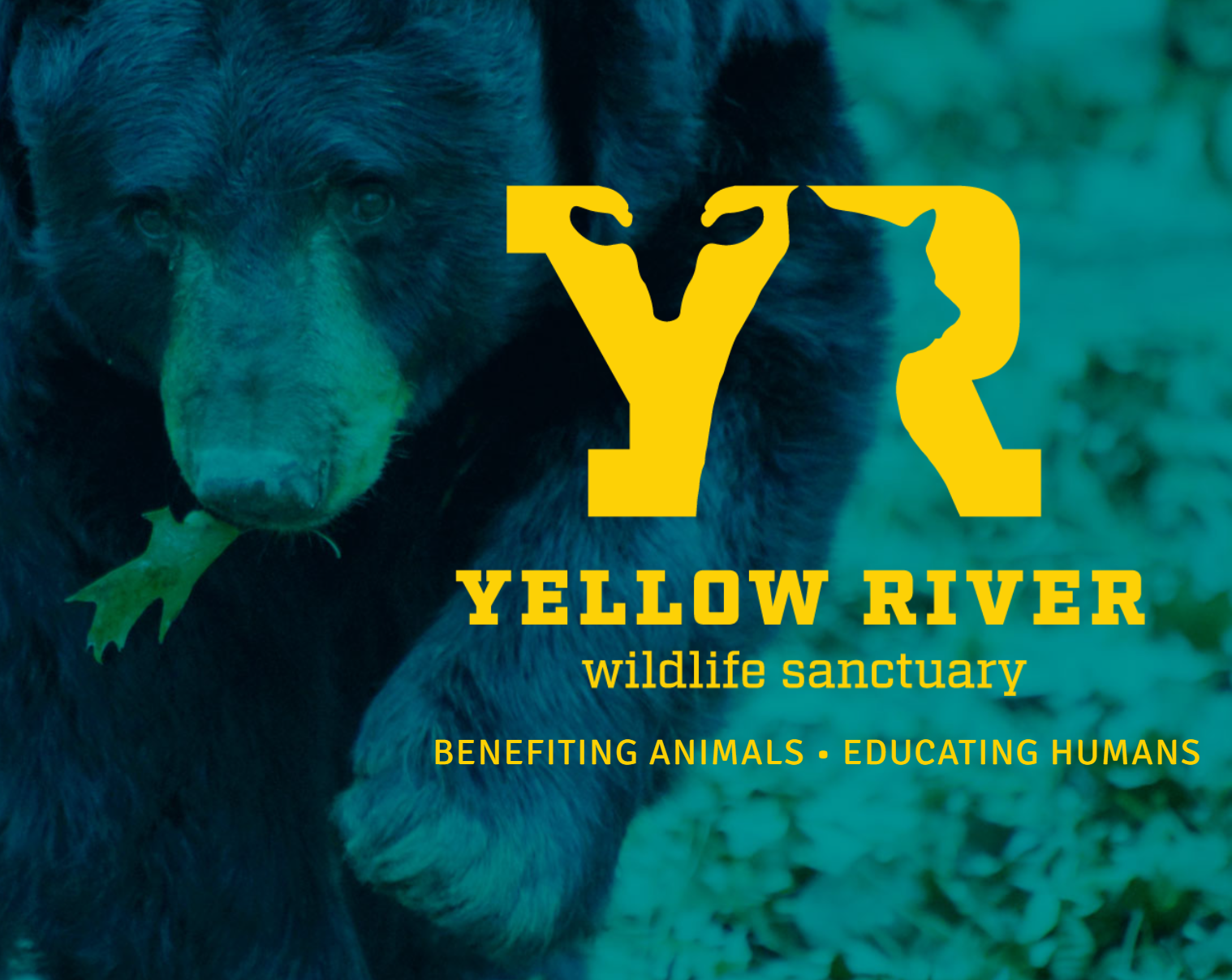 Yellow River Wildlife Sanctuary