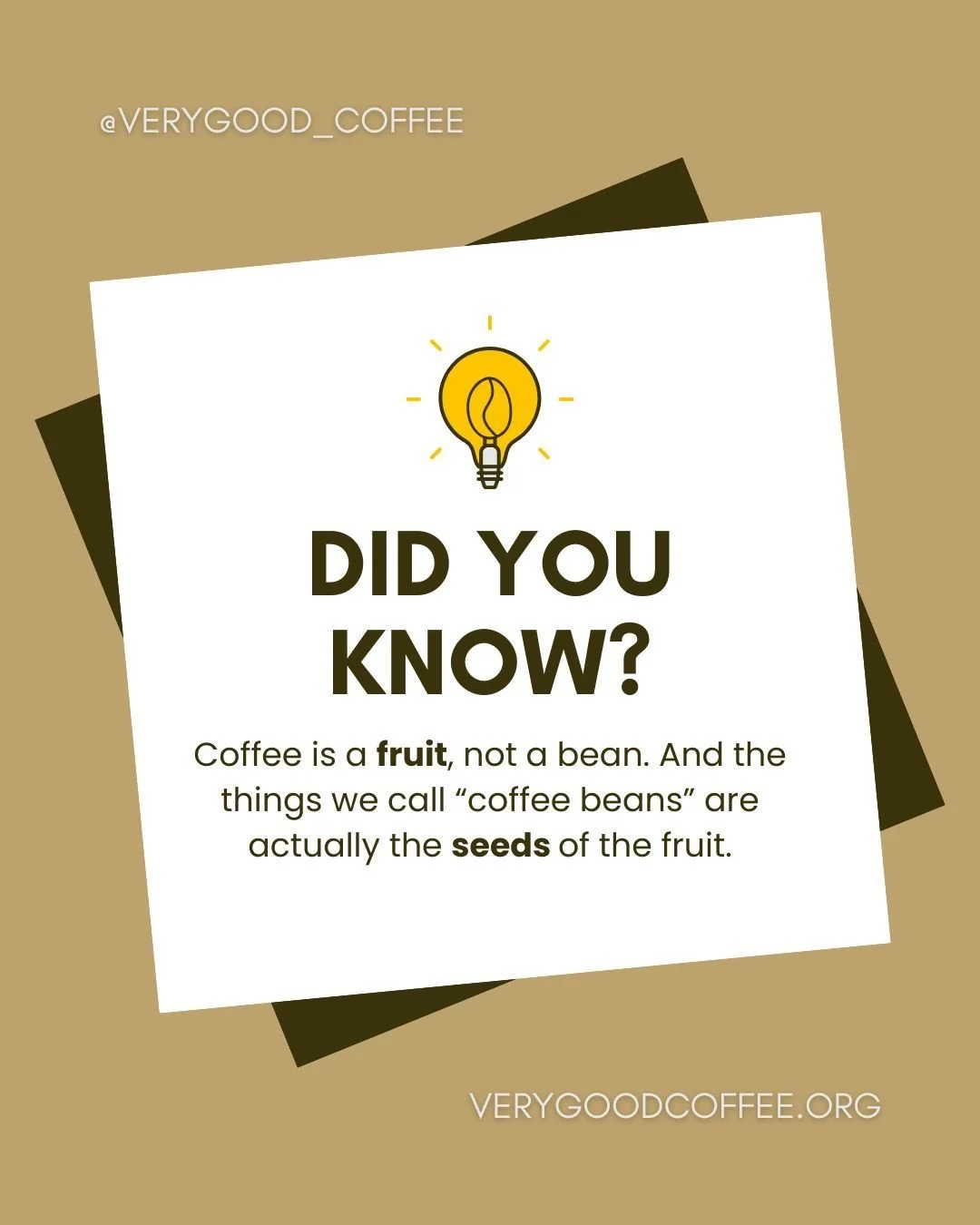 Doctors recommend 1.5 to 2.5 cups of fruit per day. 🤷

📍 Location Pin: Gwinnett County, Greater Atlanta, DeKalb County

🔑 Key Keywords: Mobile espresso bar Atlanta, Gwinnett event catering, DeKalb wedding coffee, specialty coffee trailer, trusted 