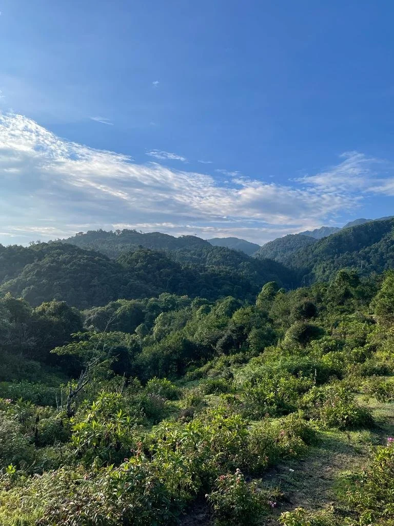 PHOTO-2023-11-29-10-26-58 (2).jpg