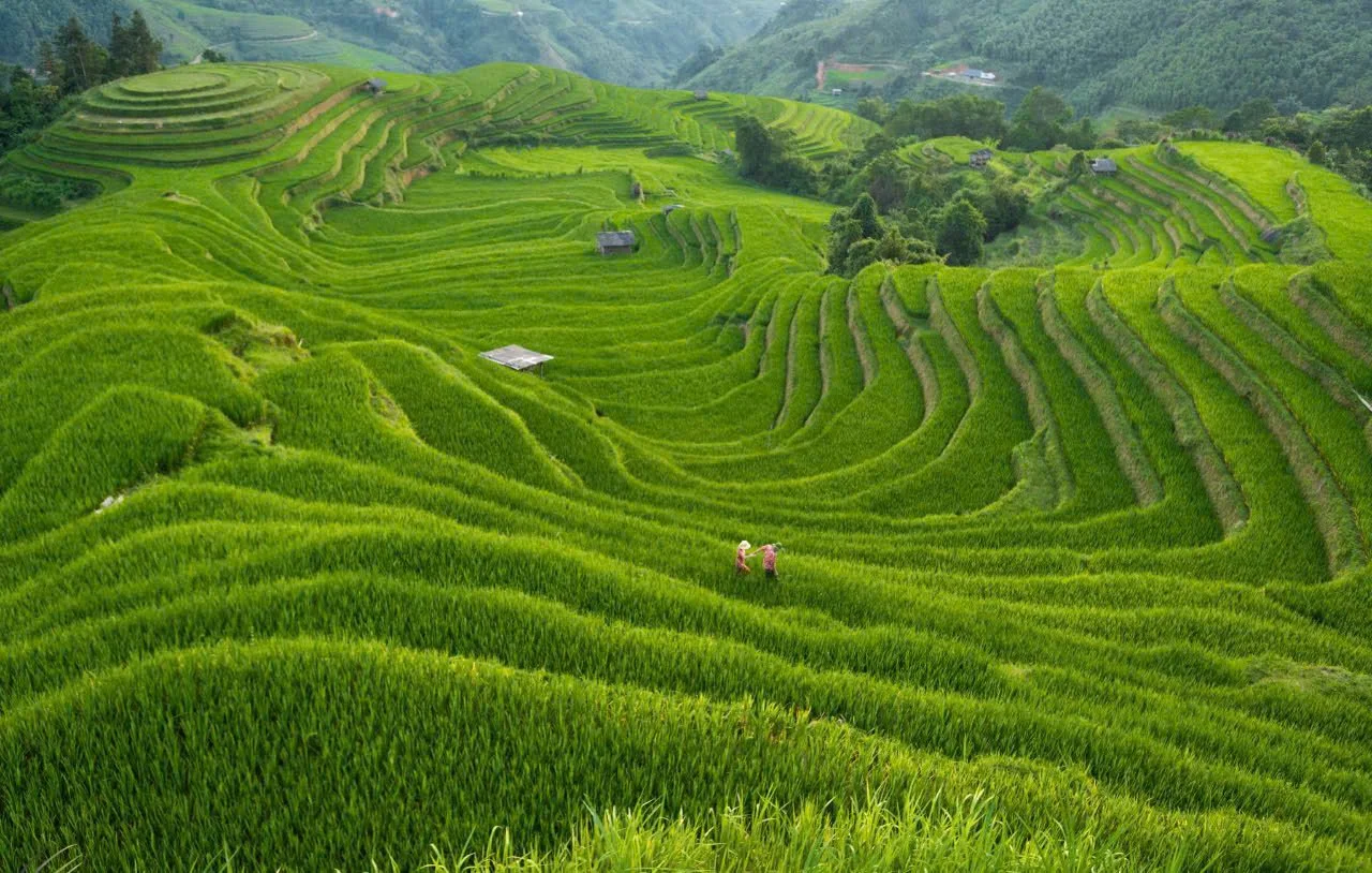 Rice Fields Trek 4 day