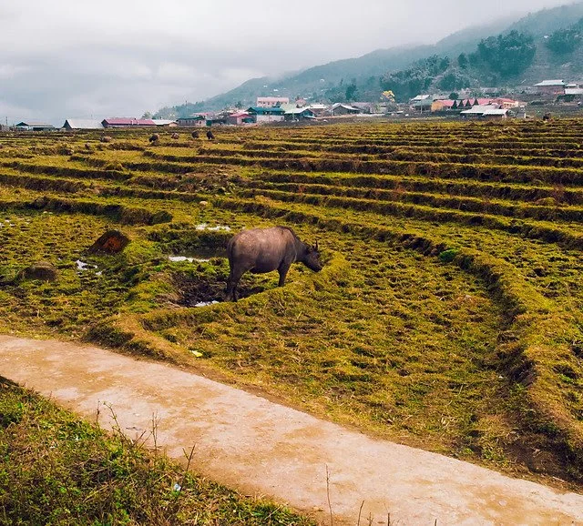 Muang Hoa Valley Trek