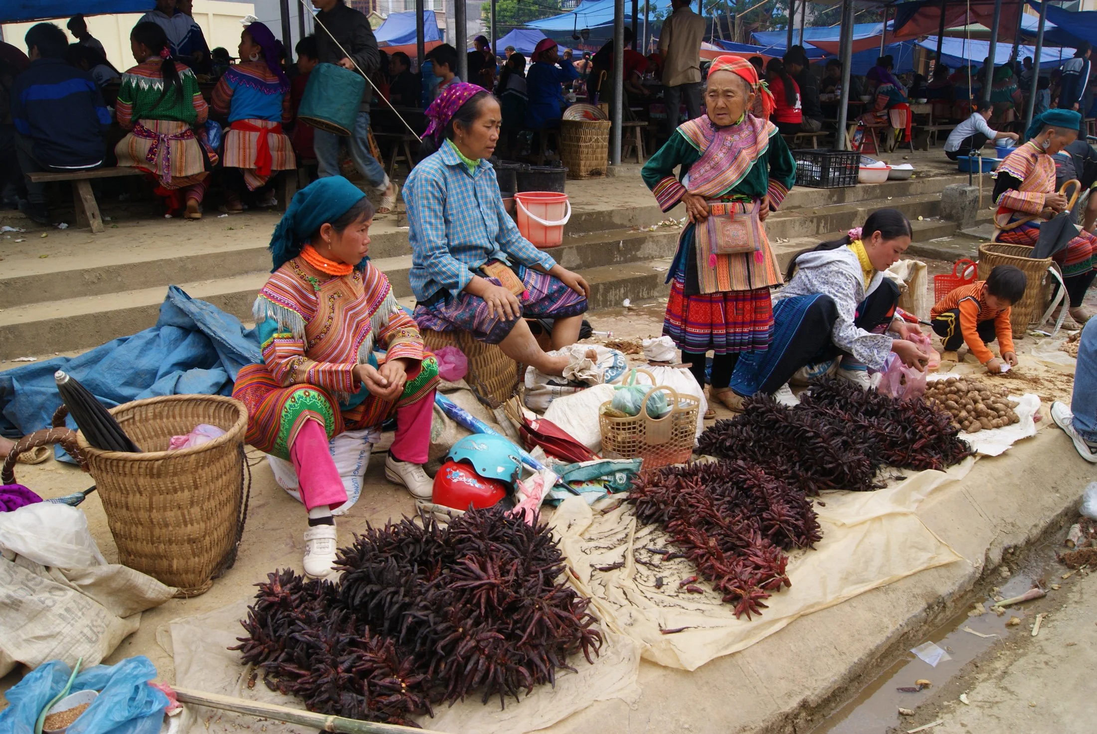 Bac-Ha_Sunday_market,_Vietnam_-_20131027-17x.jpg