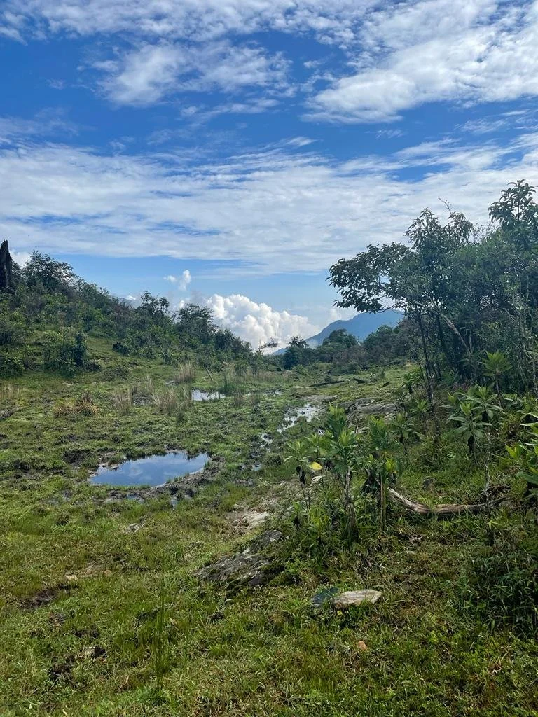 PHOTO-2023-11-29-10-26-58 (1).jpg