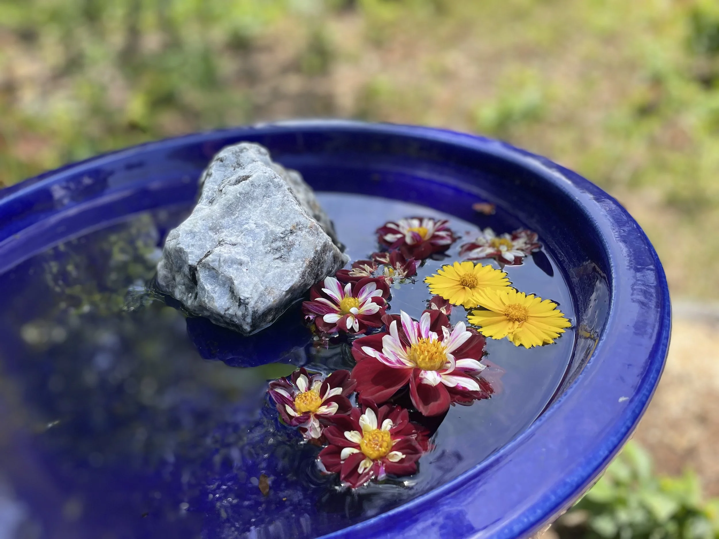 IMG_1708.jpeg