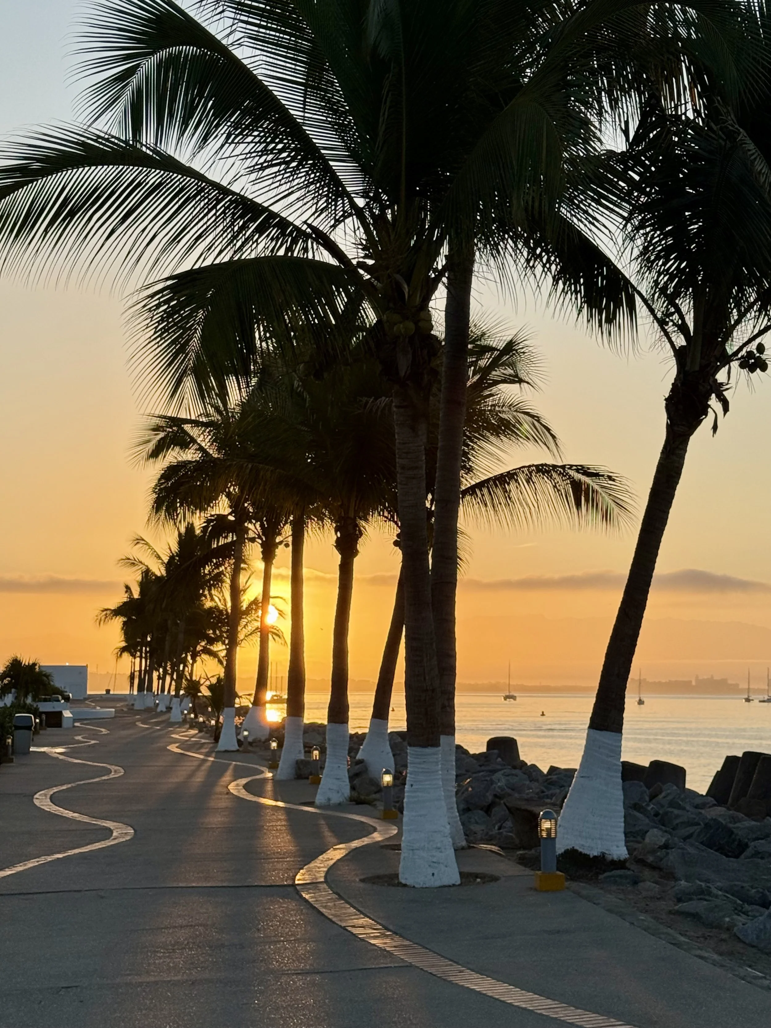 Palm trees lining a seaside promenade during sunset, with a wavy path and a tranquil ocean view in the background.