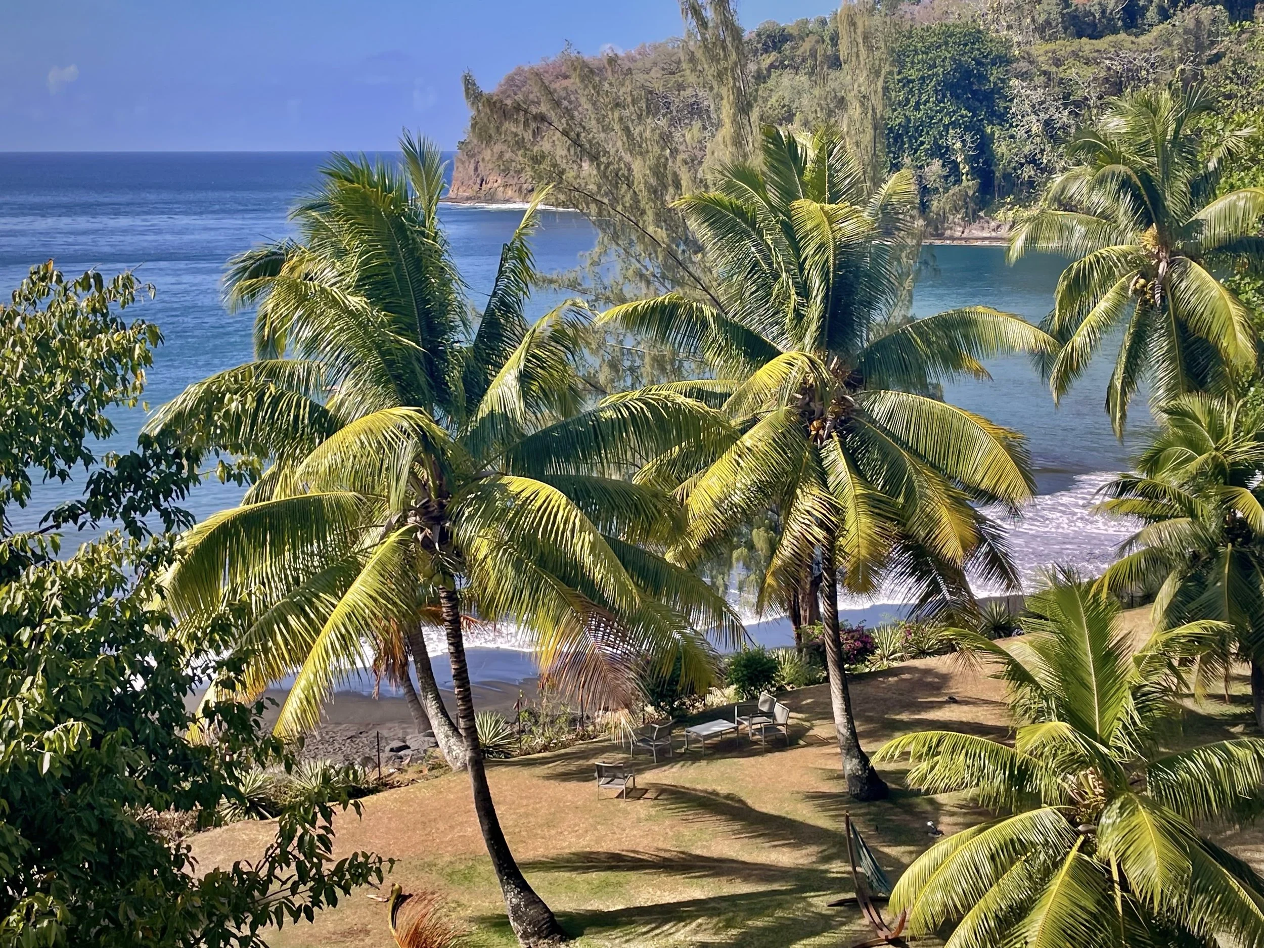 Tropical beach scene with palm trees, sandy shoreline, ocean waves, and lush greenery.
