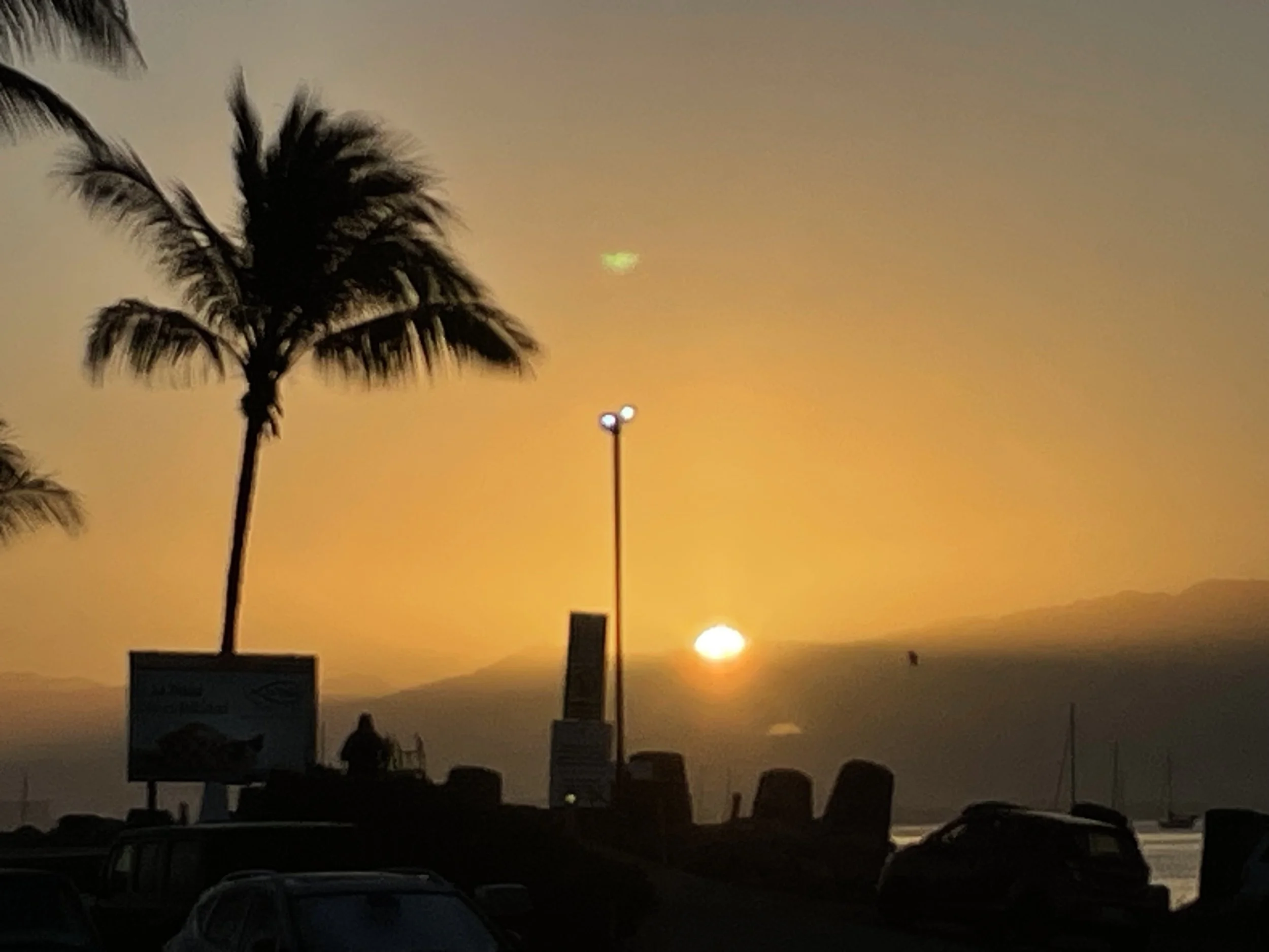 A tropical sunset scene with palm trees and silhouettes of parked cars along a waterfront, set against an orange sky.