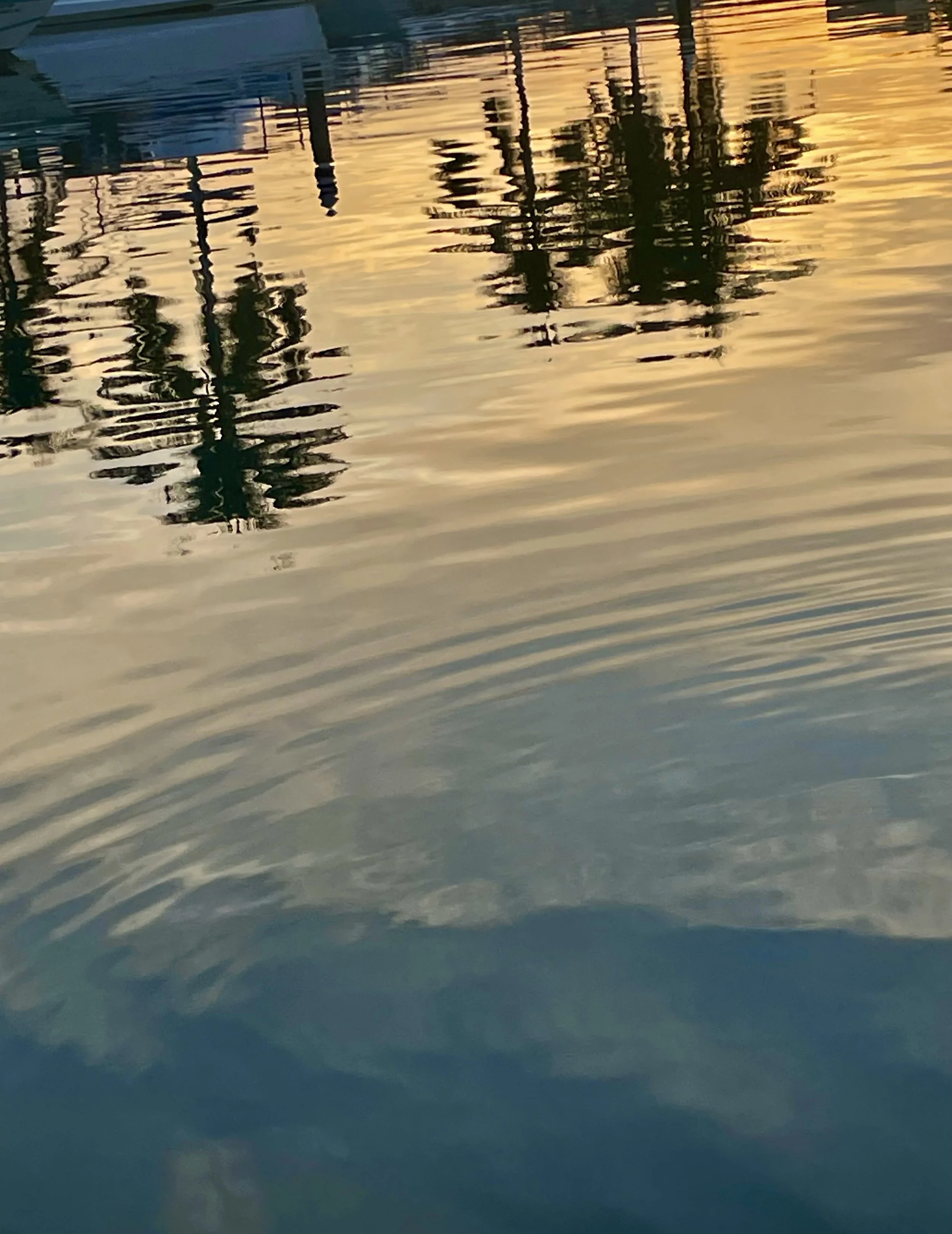 Reflections of palm trees and a sunset on rippling water.