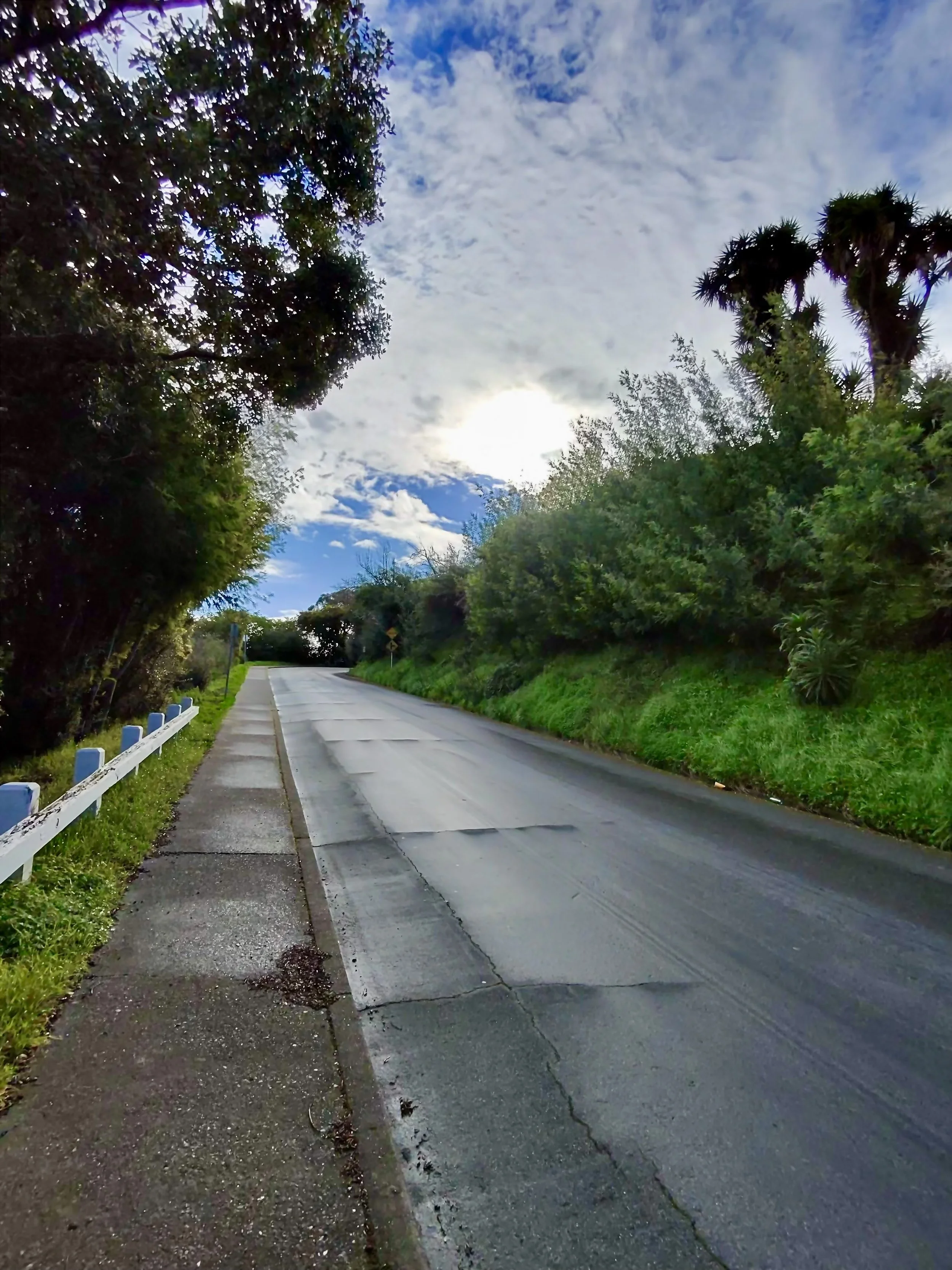 A paved road with a sidewalk on the left, bordered by greenery and trees, leading into the distance under a partly cloudy sky.
