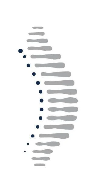 51064585_358727158285871_2057057664248053760_n.jpg