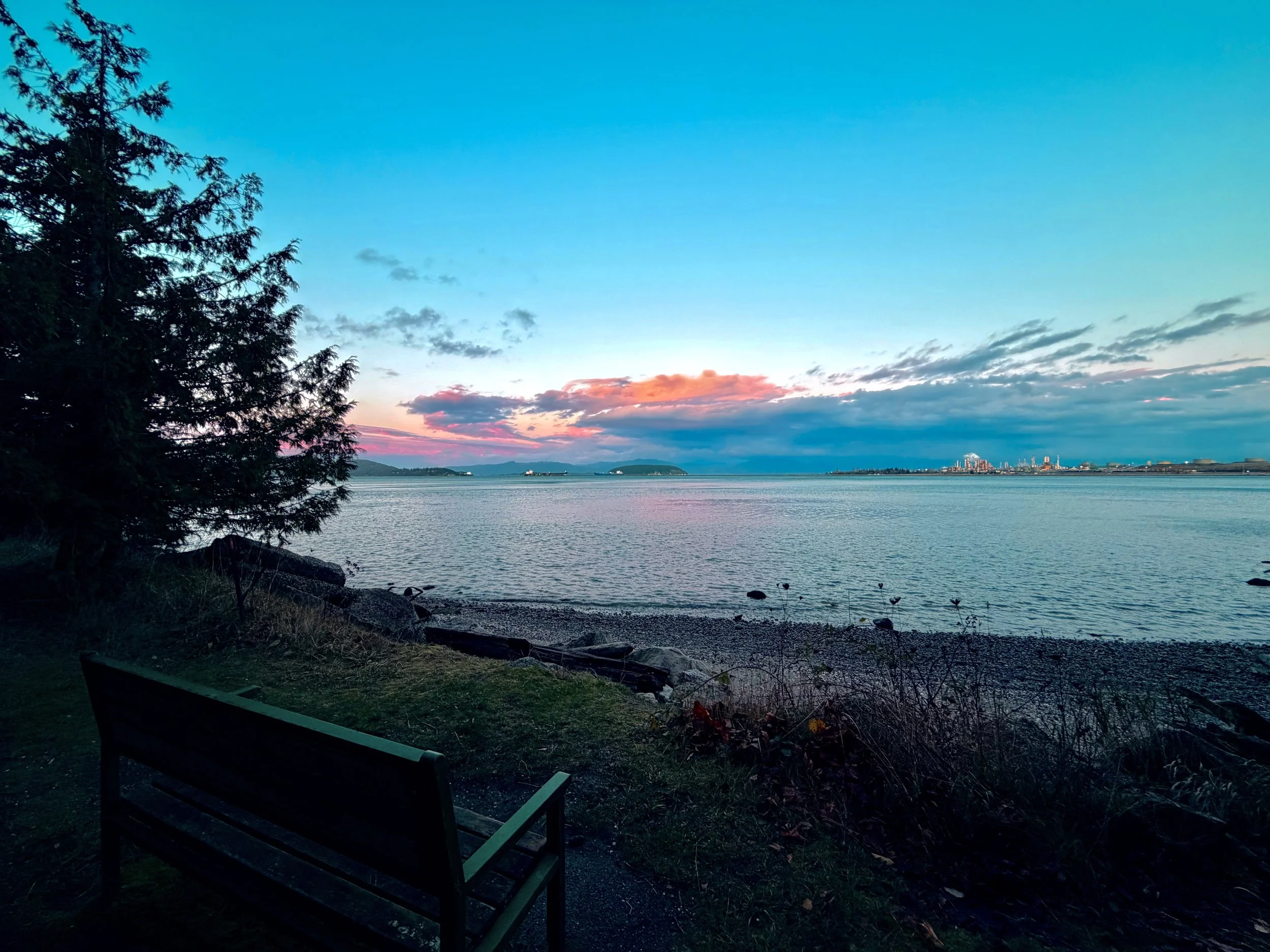 Scenic view of a body of water at sunset with clouds and buildings in the distance, a tree on the left, and a bench in the foreground.