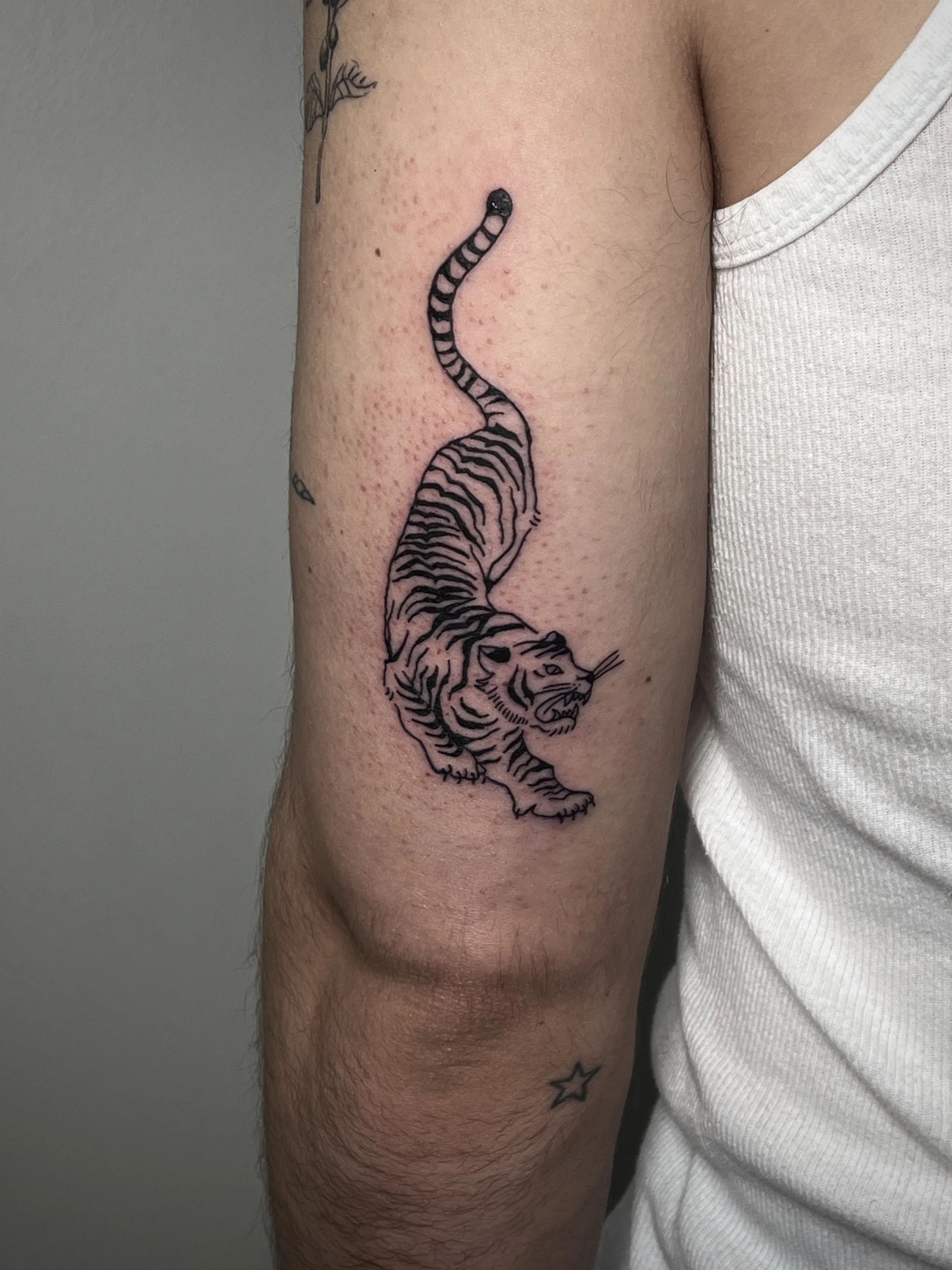 Close-up of a person's upper arm and shoulder. The person has two tattoos: a cartoonish tiger with black stripes and a small black star on the inner forearm, with part of another tattoo visible near the shoulder.