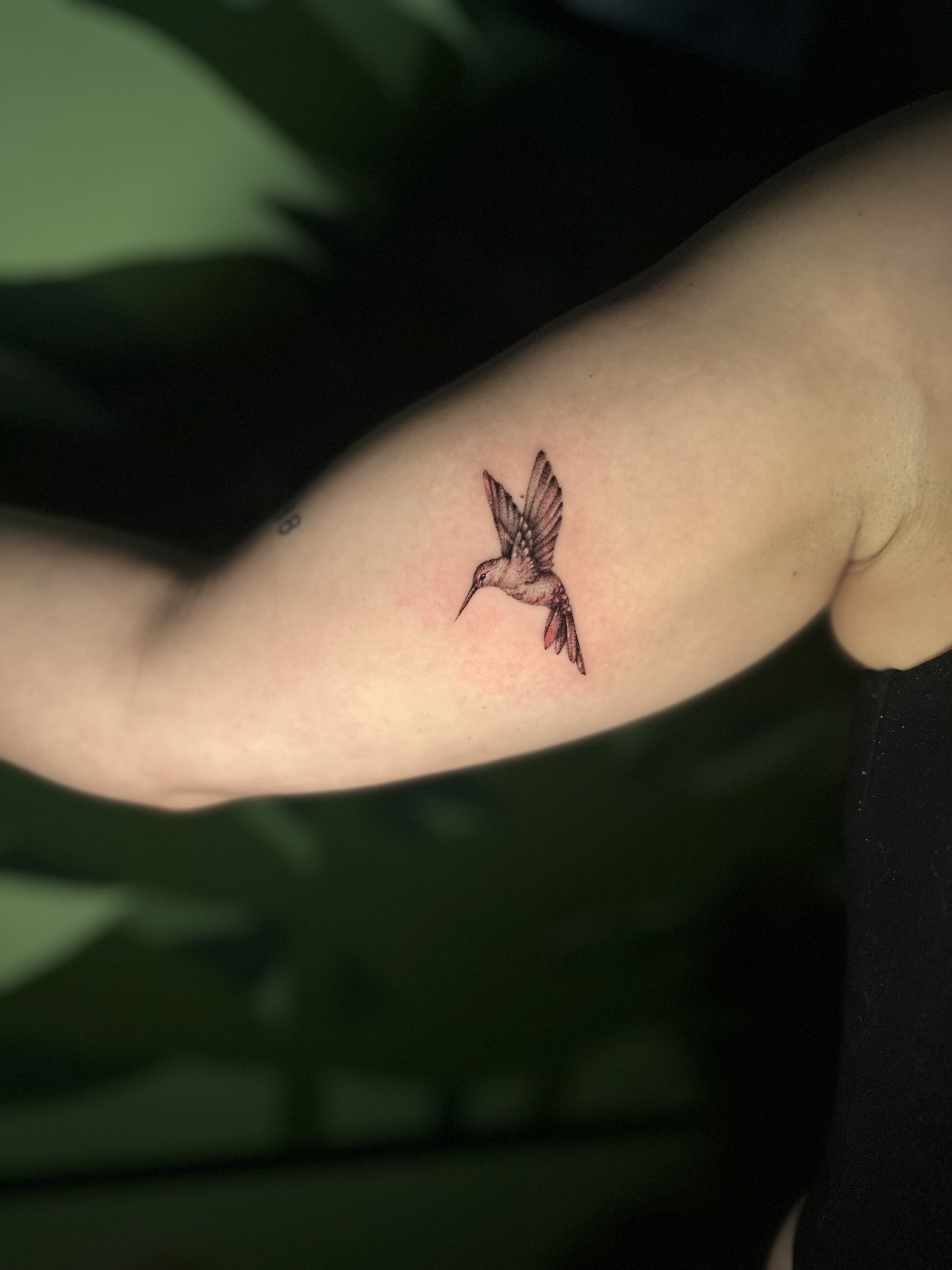 Person's arm with a hummingbird tattoo on the bicep.