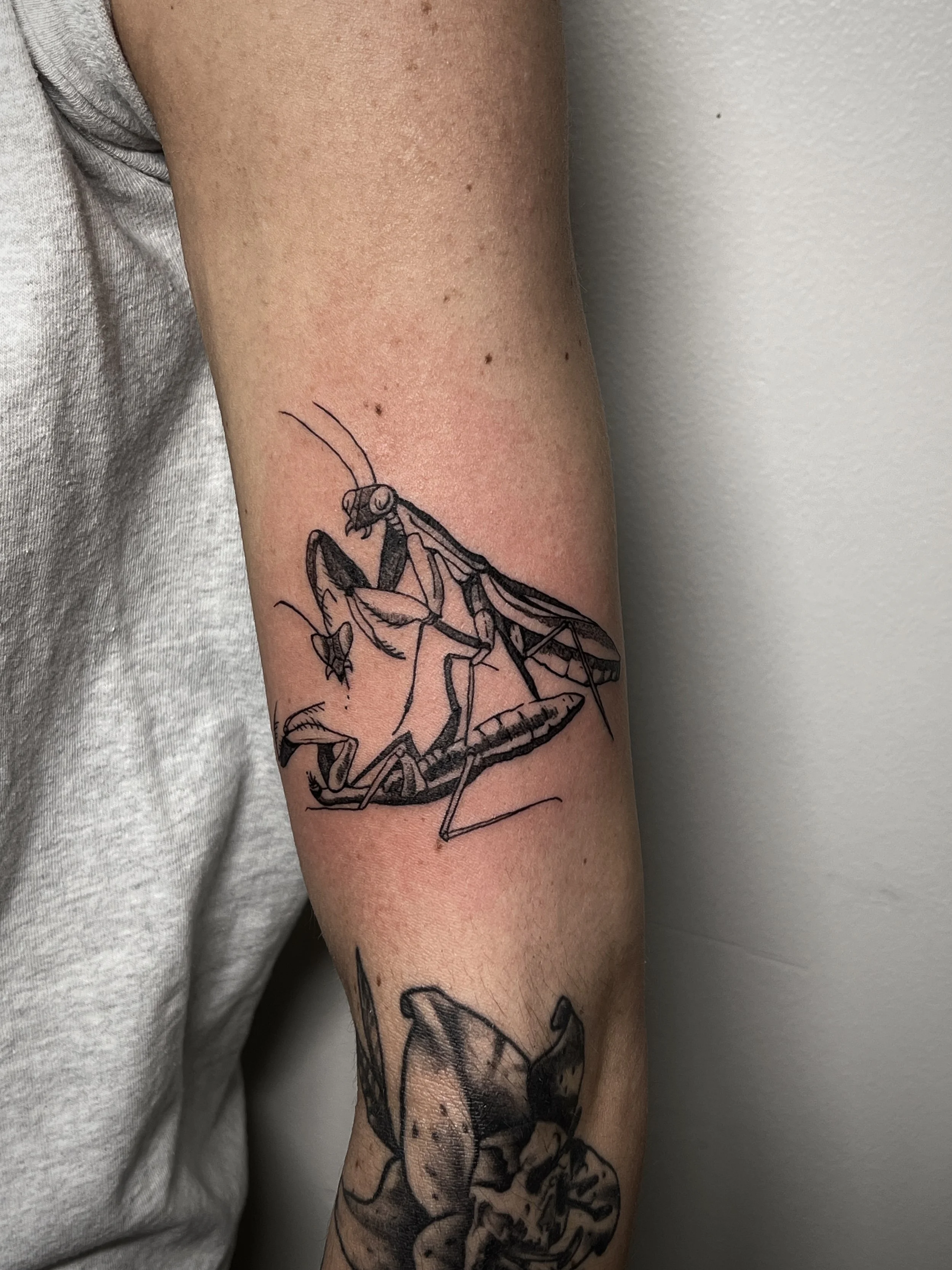 Close-up of a person's arm with a black line drawing tattoo of a praying mantis on the upper arm.