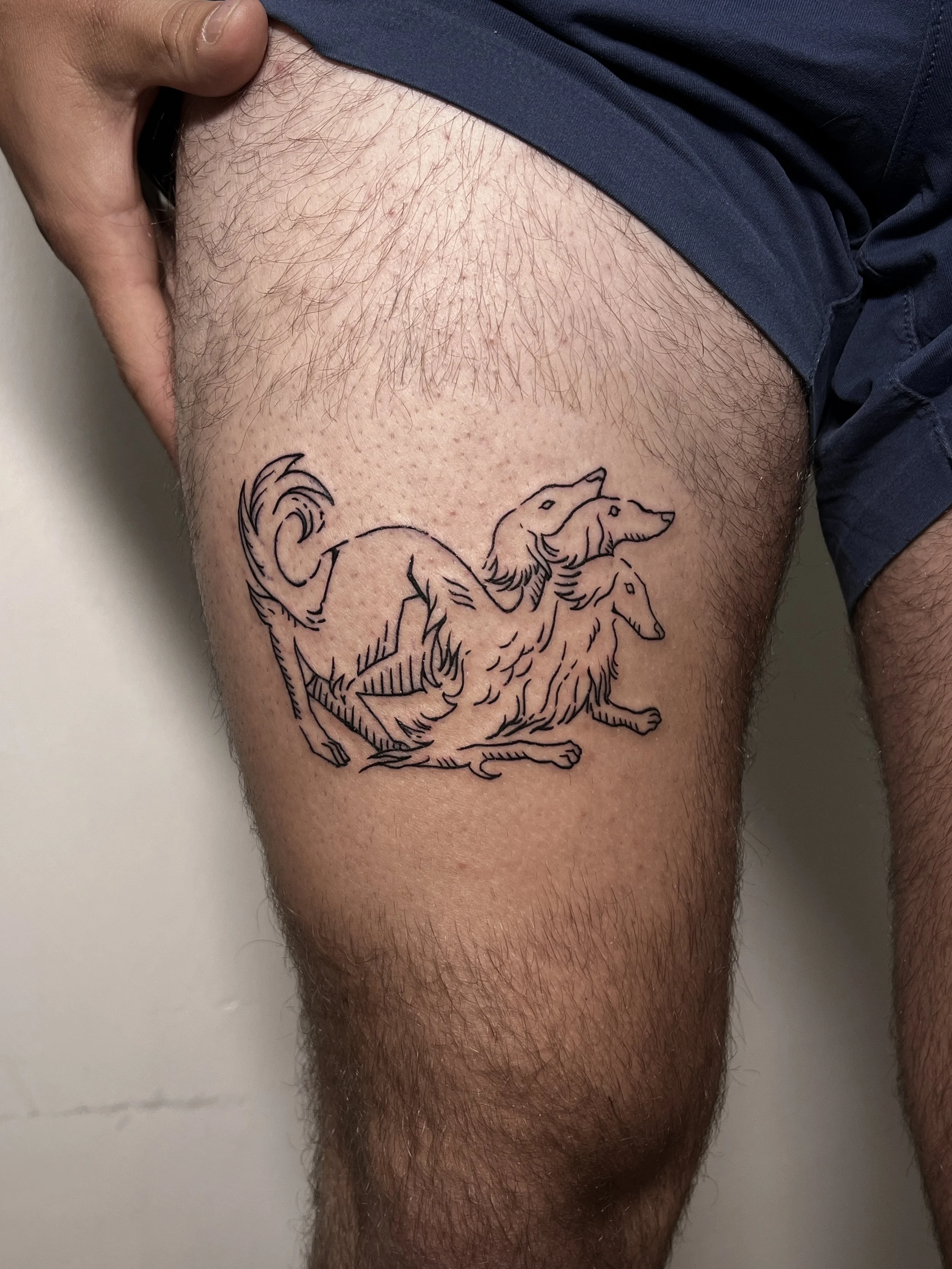 Close-up of a person's thigh with a tattoo of Cerberus, the three-headed dog.