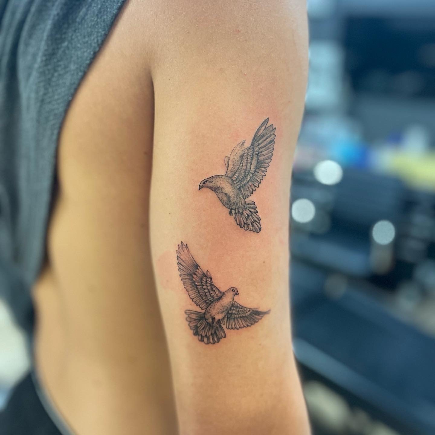 Two bird tattoos on a person's upper arm.