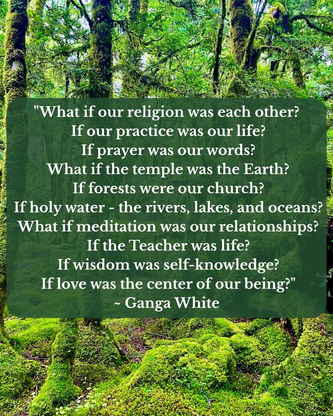 This quote by Ganga White speaks directly to the heart of what I do and believe.

Healing doesn&rsquo;t have to happen in a sterile room or behind closed doors. It can unfold in the forests, in deep conversations, in quiet moments of breath and prese
