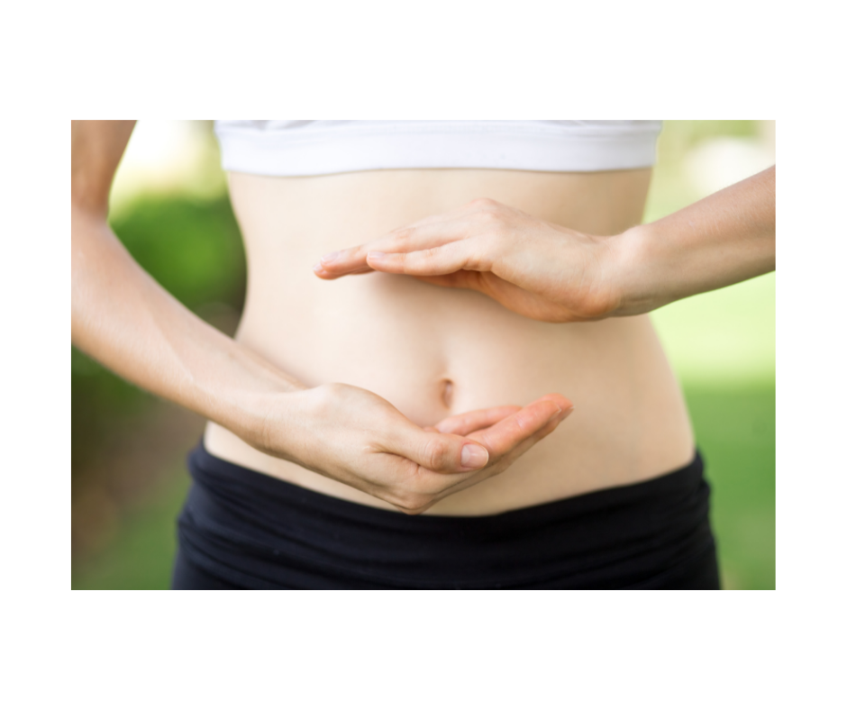 Have You Met Your Transverse Abdominus?       A Key to Reducing Back Pain