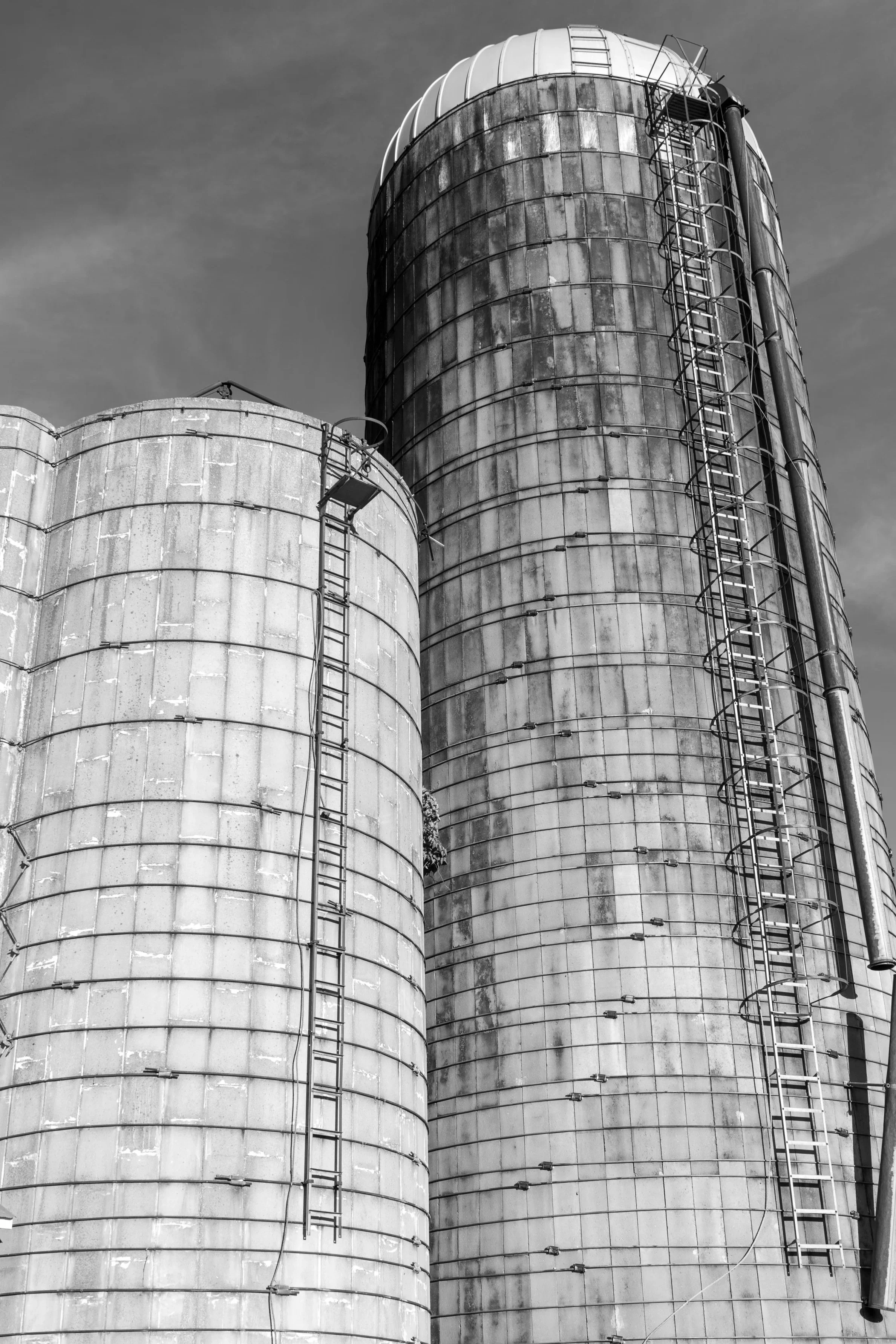 Silos1.jpg