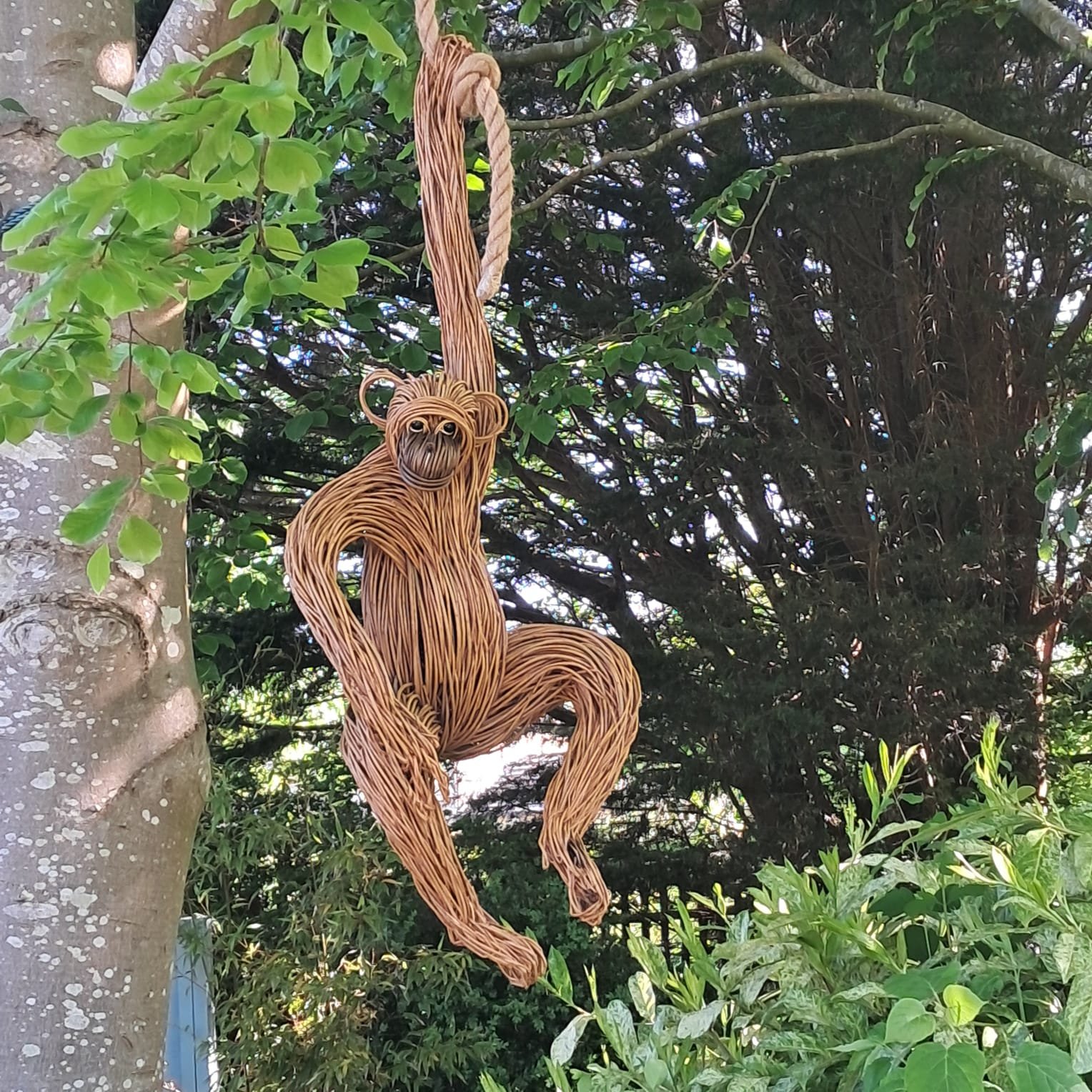 image1 (1).jpeg