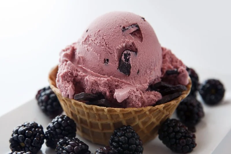 pink ice cream with black raspberries and chocolate chips