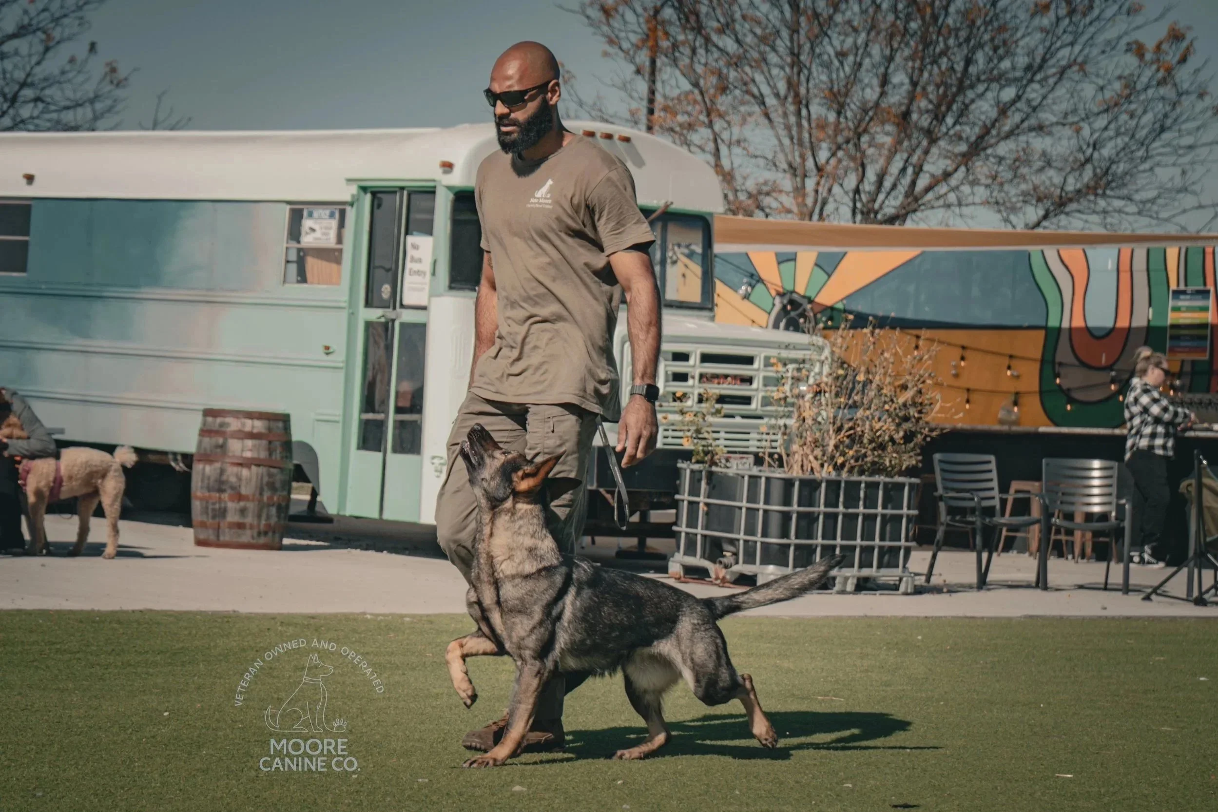 A man walking with a German Shepherd dog on a leash in an outdoor area with a green artificial turf. There are other dogs and people in the background near a colorful building and trees.