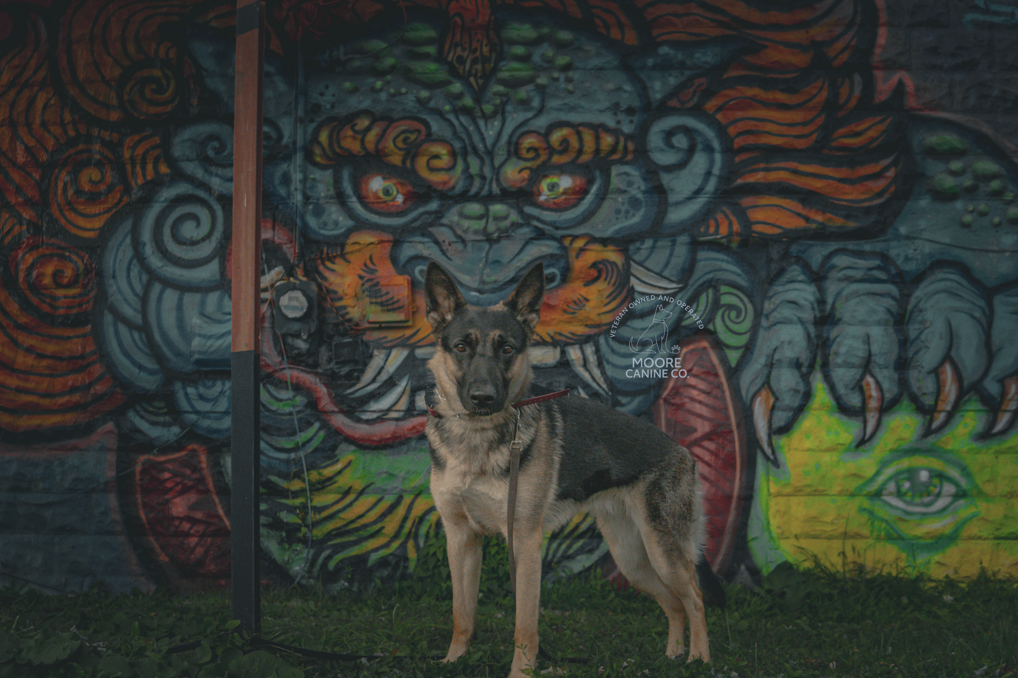 A dog standing in front of a colorful graffiti mural of a fierce face with swirling patterns, sharp teeth, and an eye painted on a brick wall.