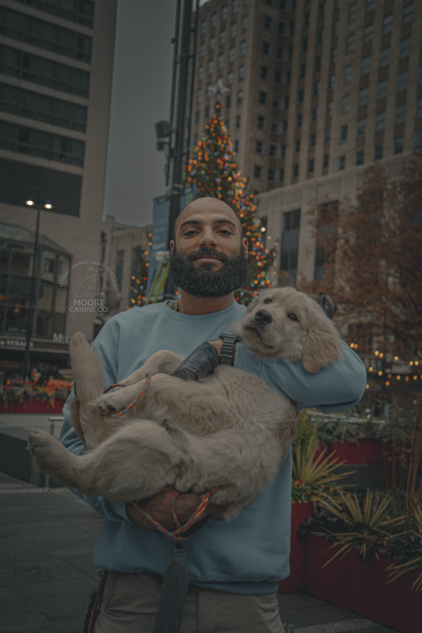 A man with a beard holding a golden retriever puppy in front of a decorated Christmas tree on a city street.