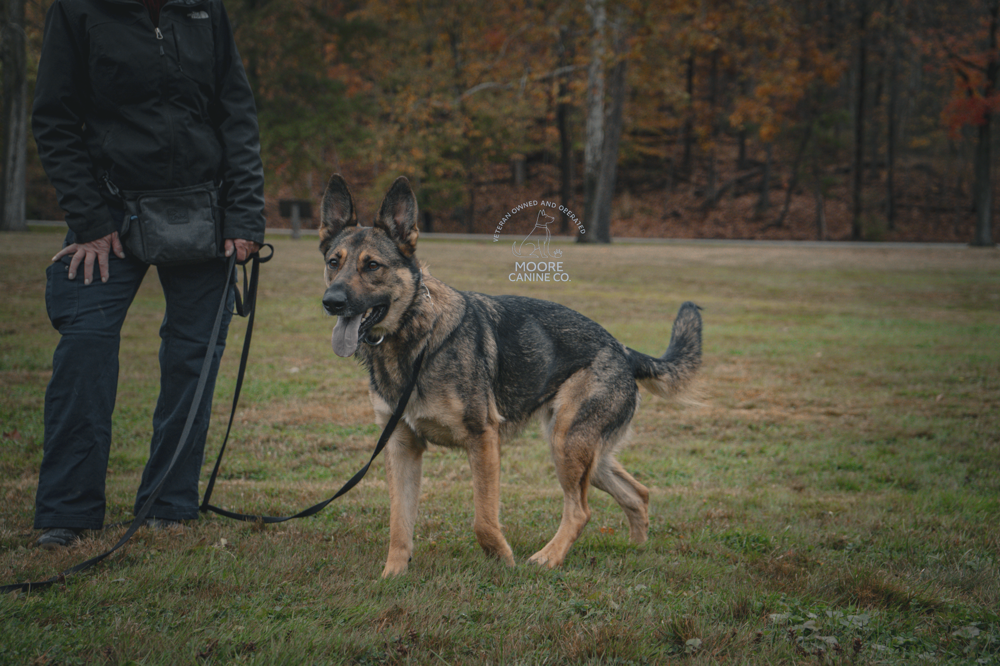 A person holding a leash attached to a German Shepherd mix dog in an open grassy park with trees in the background during fall.