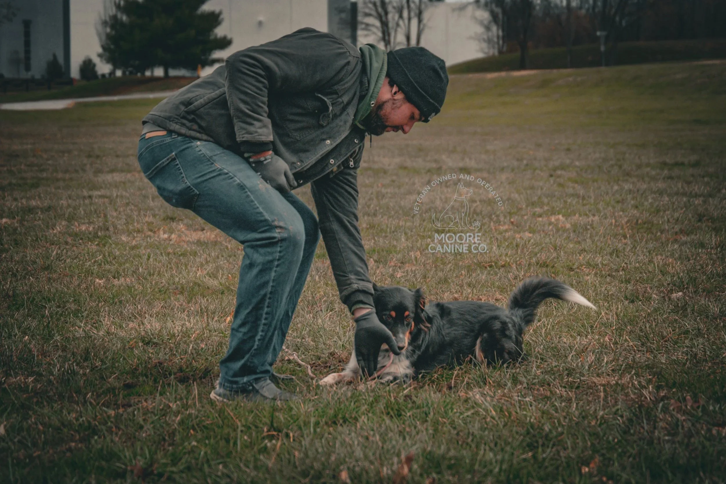 A man wearing a black jacket, beanie, and gloves is training a black and white dog on a grassy field in an overcast outdoor setting.