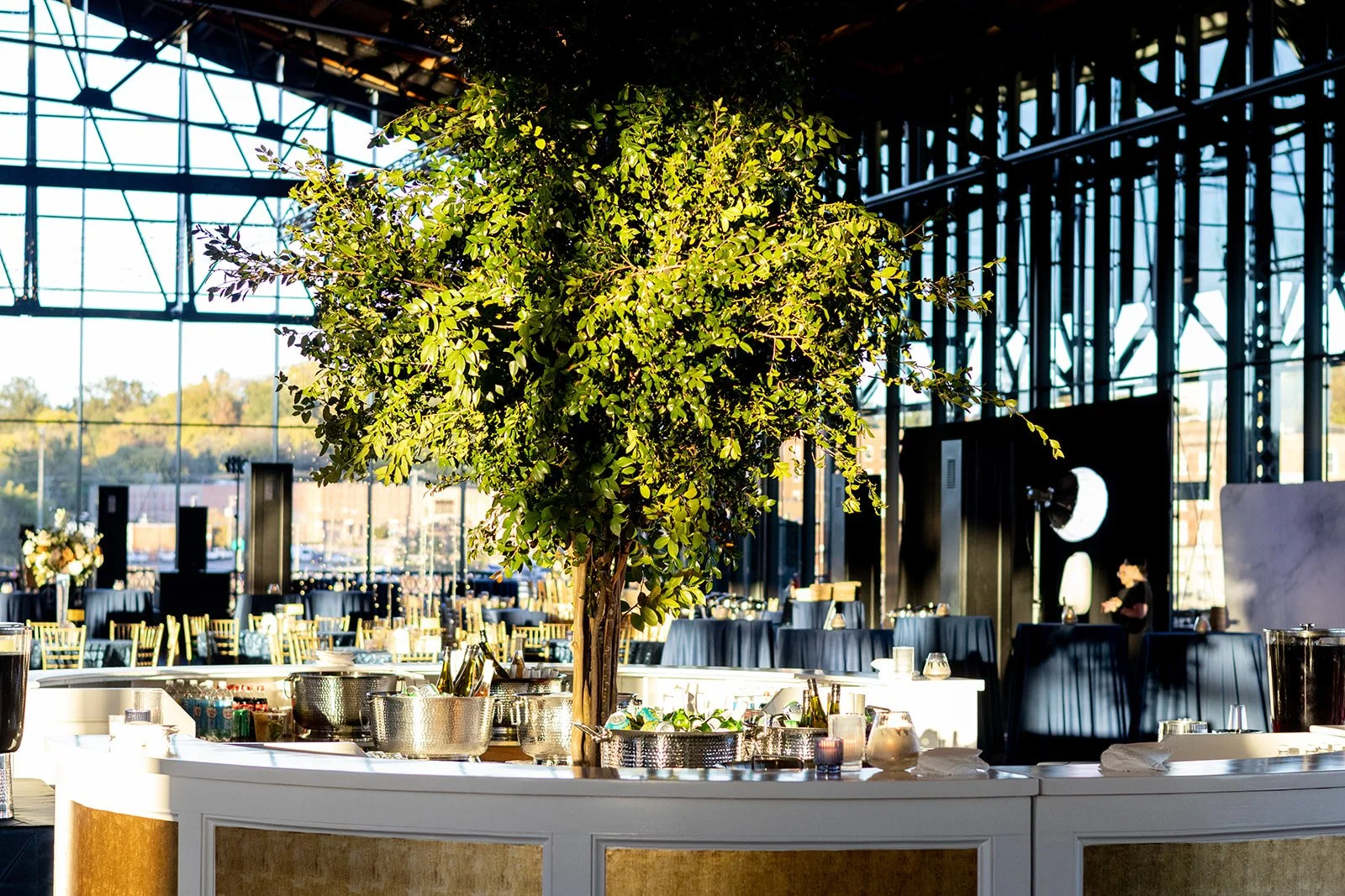 Veritas 25th Anniversary 
photo by Jayne Aronson