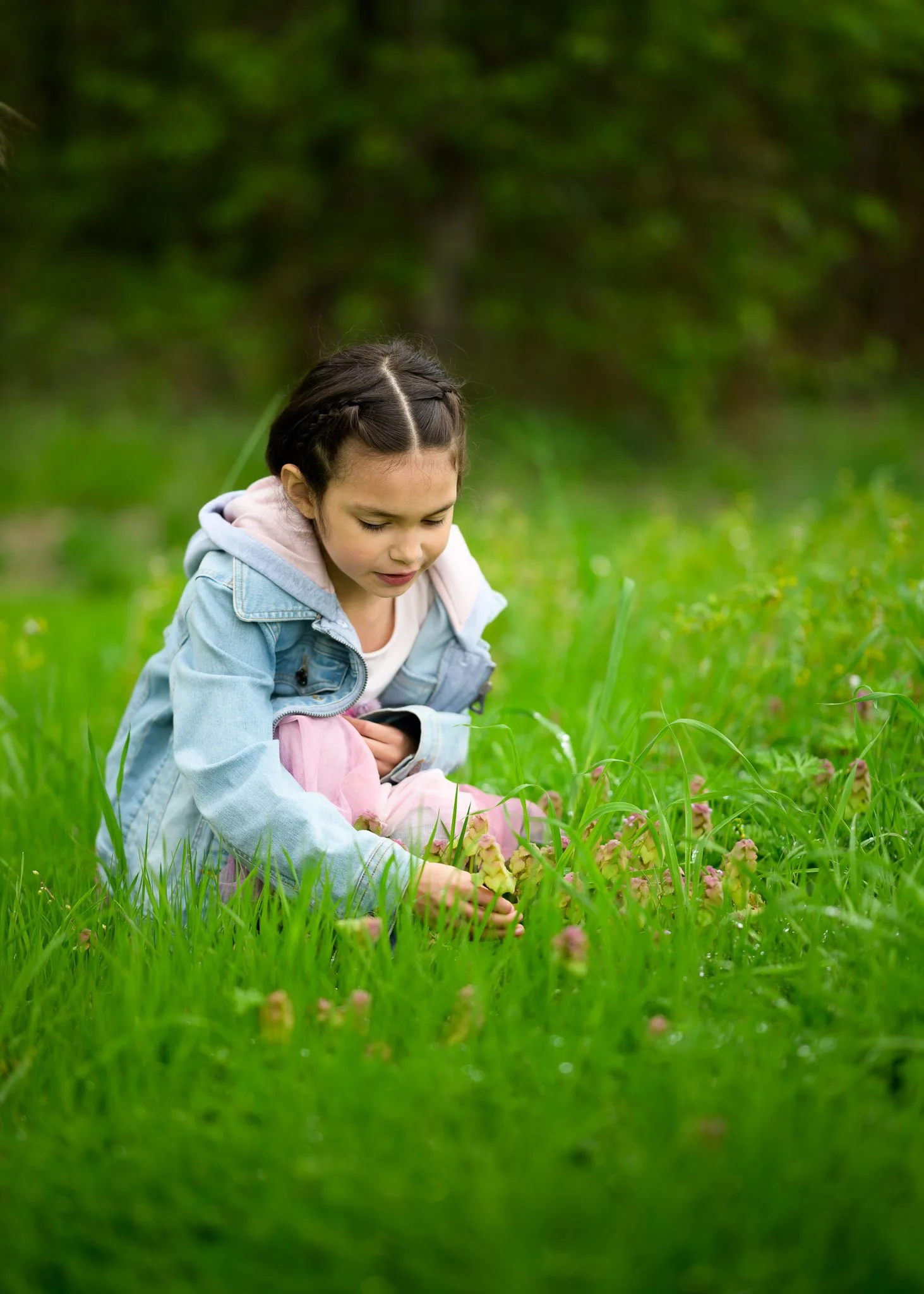 A young girl with braided hair, wearing a denim jacket and pink pants, crouches in a green grassy field and examines plants. Family photography at local park Eugene Oregon.