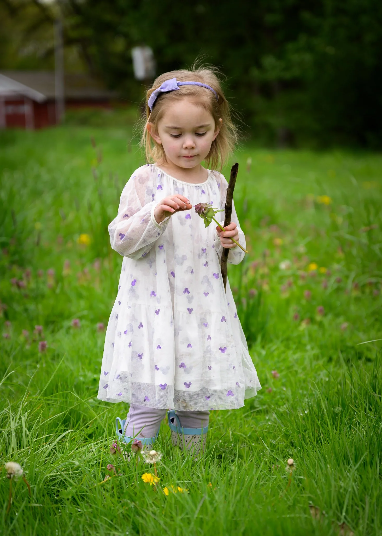 A young girl in a white dress with purple floral designs standing in a grassy field holding a stick and a leaf, with a blurred background of trees and a building. Natural light family photography in Eugene Oregon.