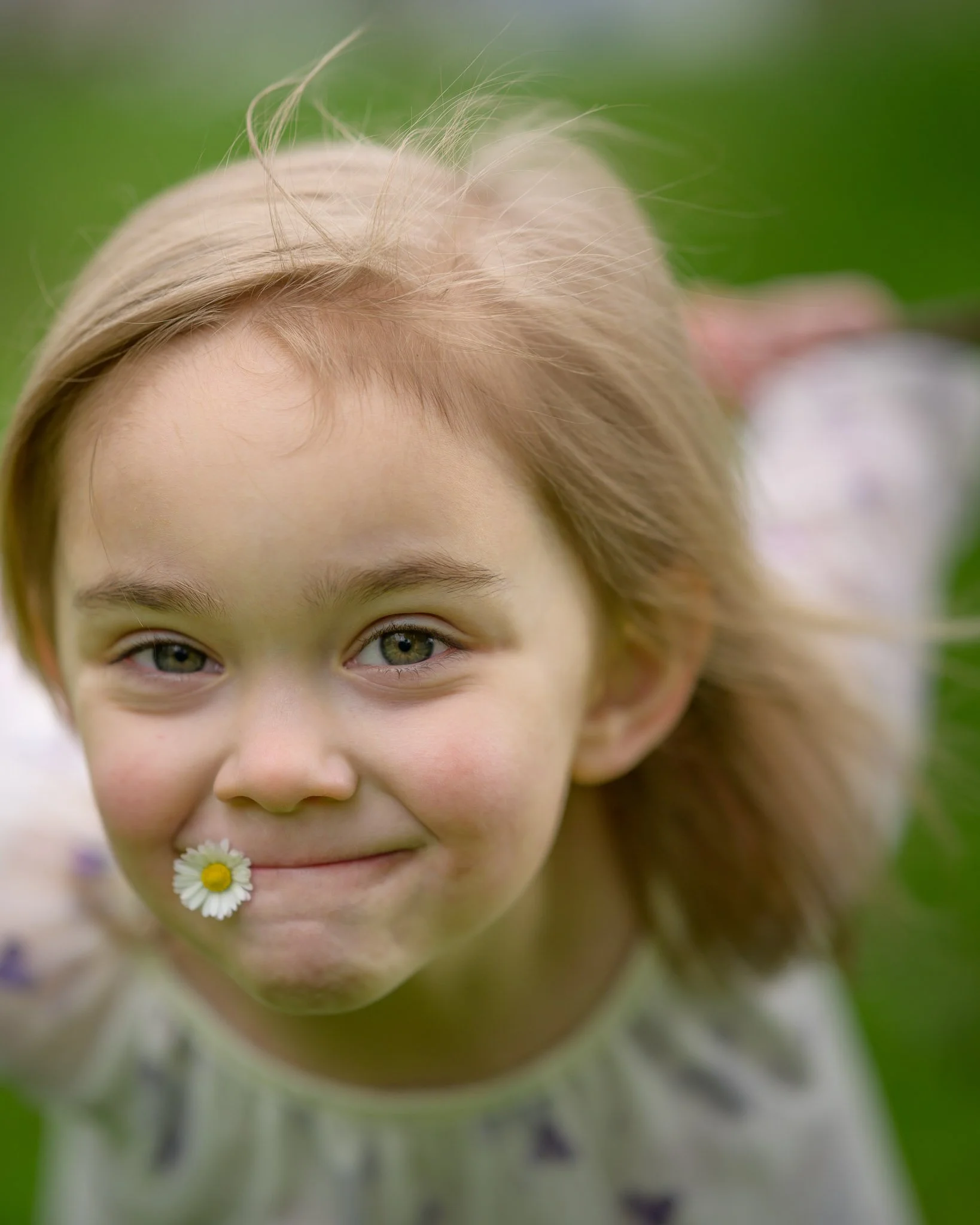 Close-up of a smiling young girl with light brown hair and a daisy in her mouth, outdoors on green grass. Natural light family photography in Eugene Oregon.