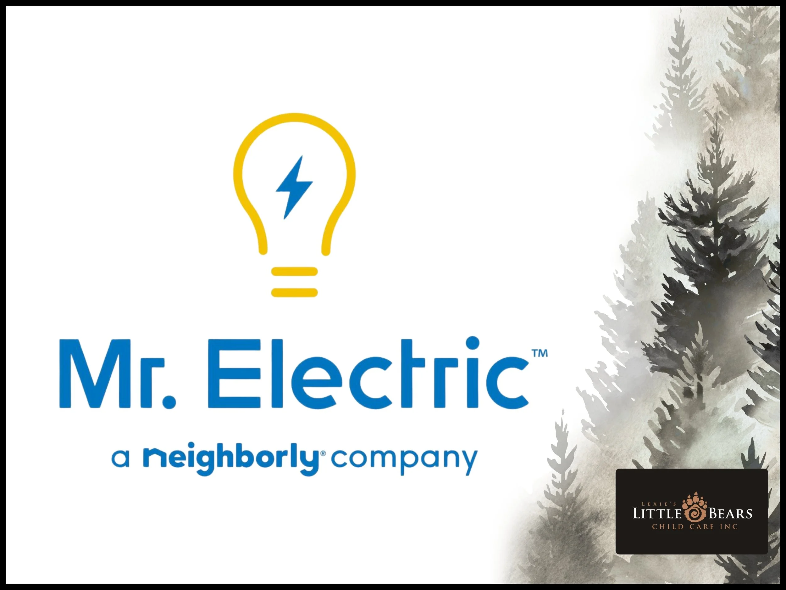 Mr. Electric