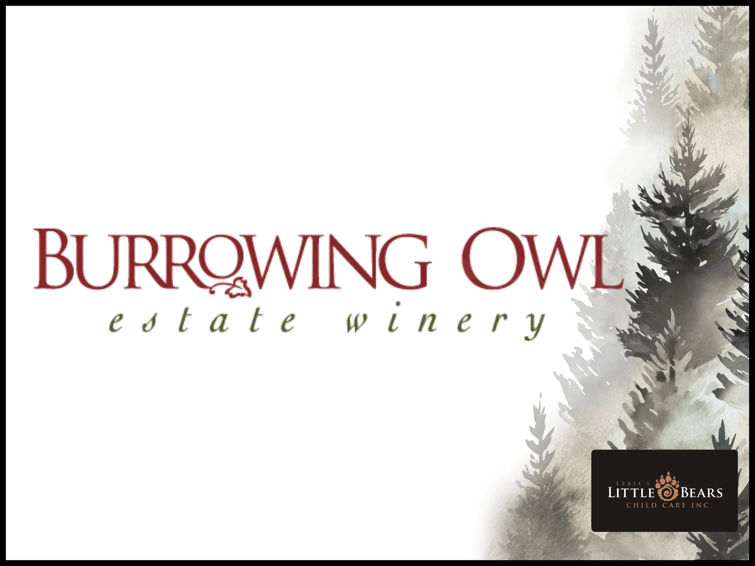 Burrowing Owl 2018 Merlot 1.5l