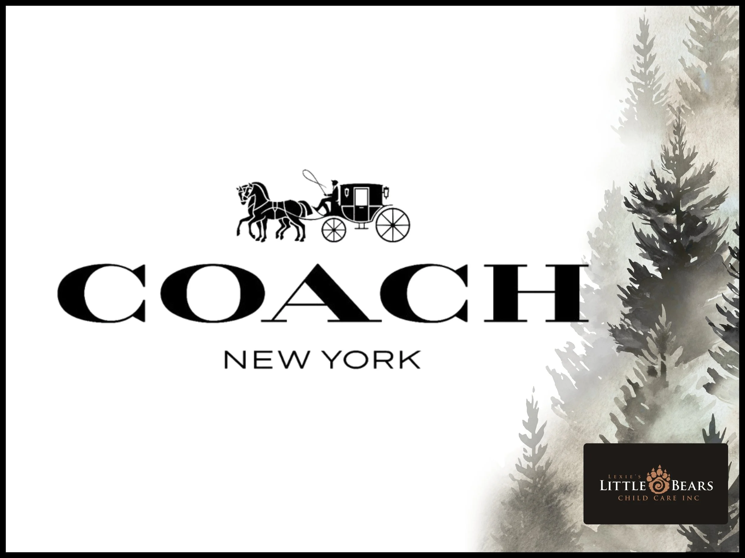 Coach Belt Bag