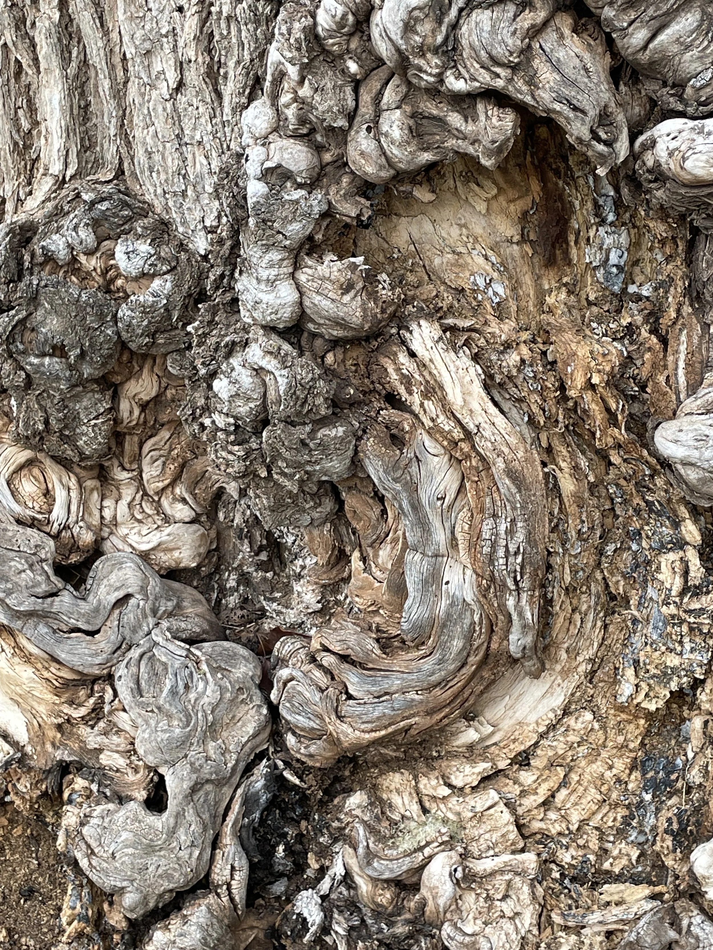 Close-up image of textured, weathered wood with intricate knots and grain patterns.