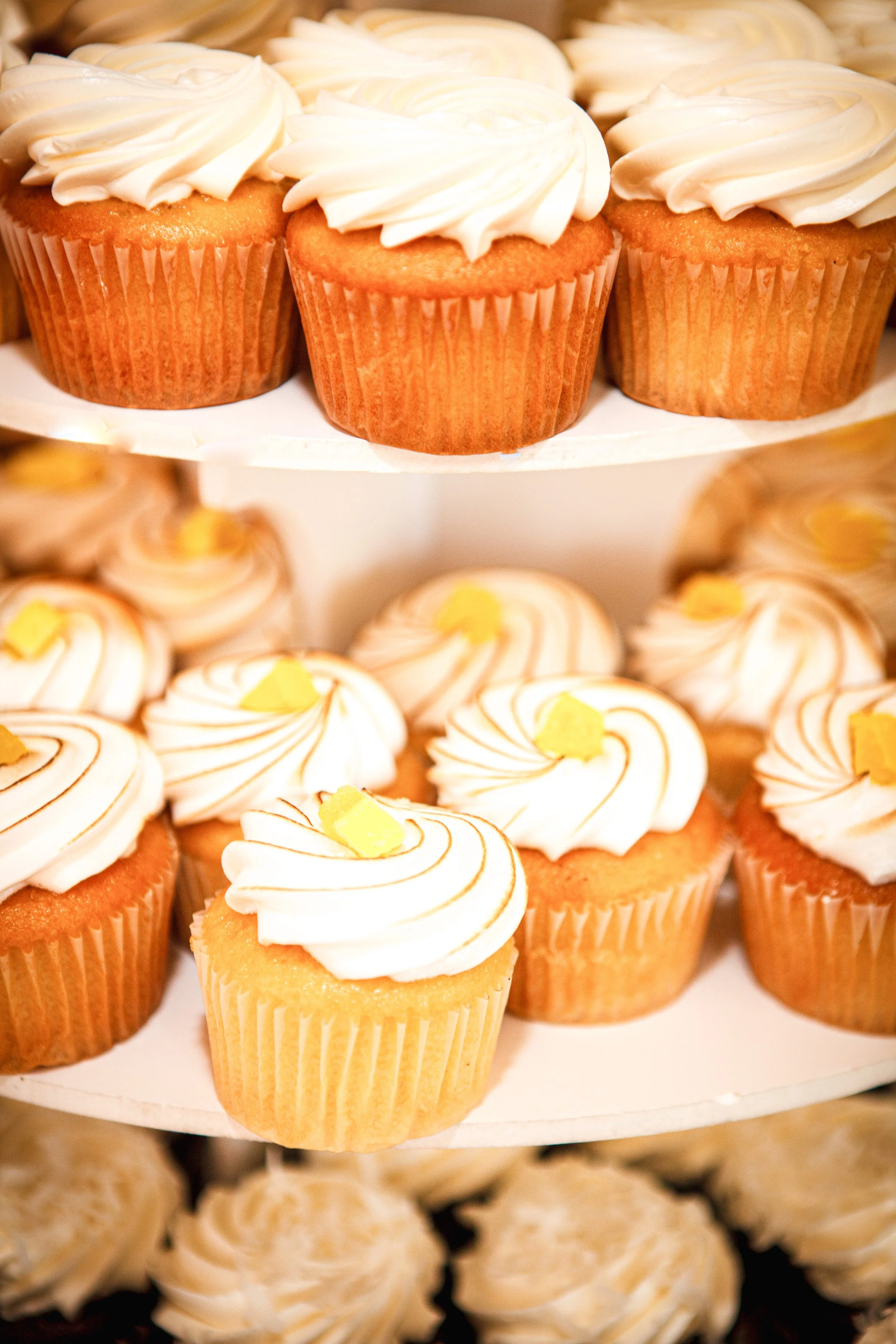 2026 MOD RND2-21.jpg