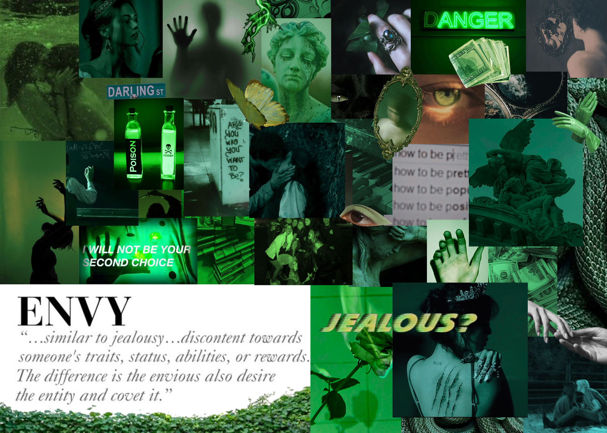 envy (ad portfolio).png